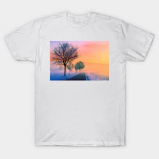 Winter landscape road T-Shirt